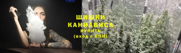 2c-b Алзамай