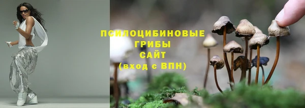 кокаин Алексеевка