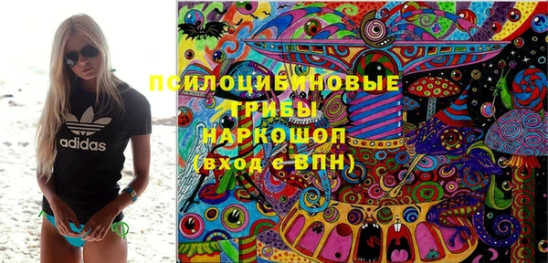 2c-b Алзамай